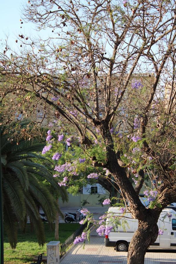 Paz Beach Málaga Dış mekan fotoğraf
