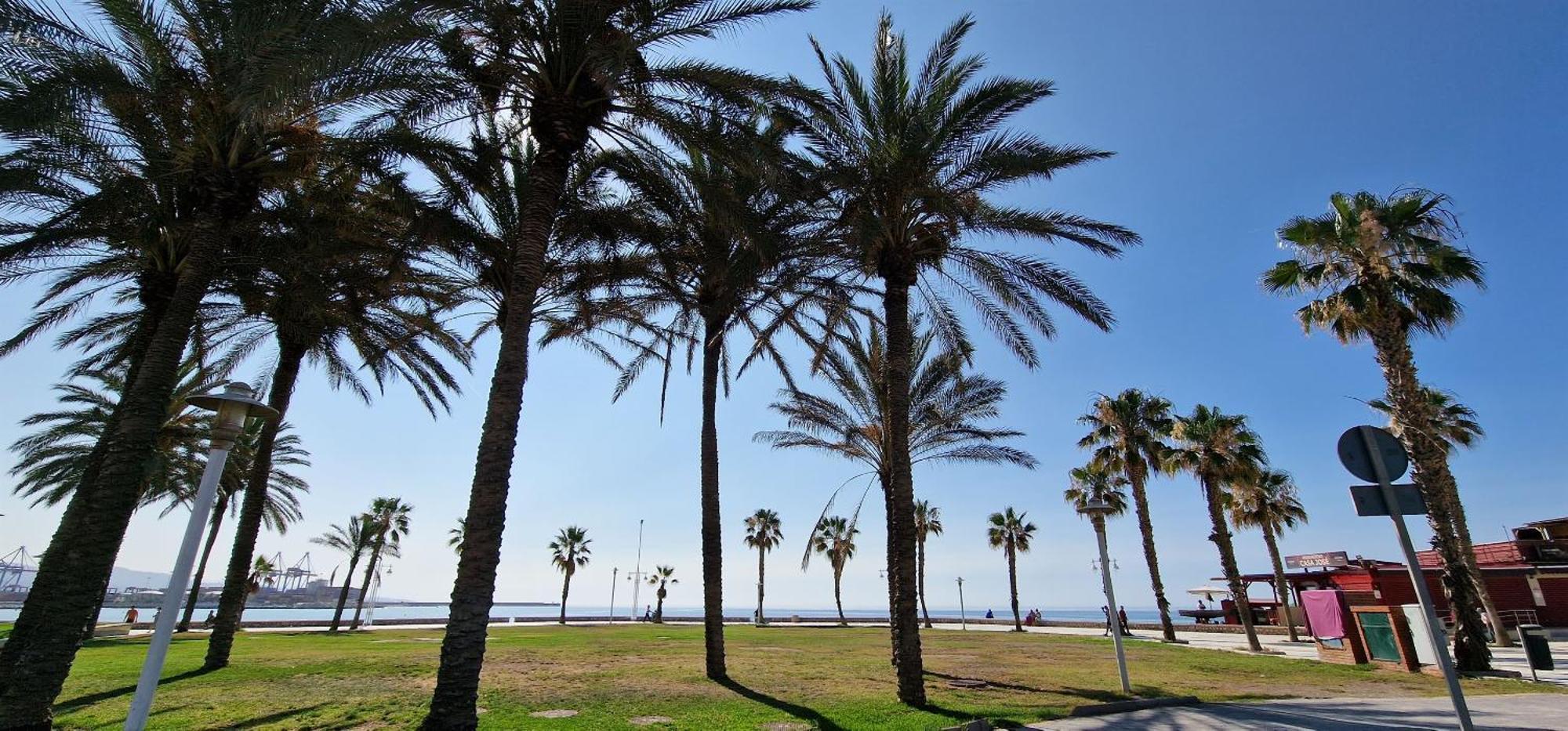 Paz Beach Málaga Dış mekan fotoğraf